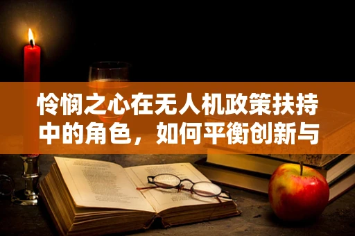 怜悯之心在无人机政策扶持中的角色，如何平衡创新与安全？