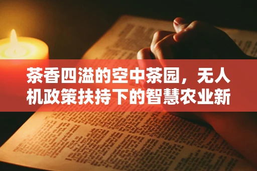 茶香四溢的空中茶园，无人机政策扶持下的智慧农业新篇章？