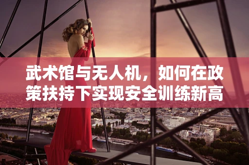 武术馆与无人机，如何在政策扶持下实现安全训练新高度？