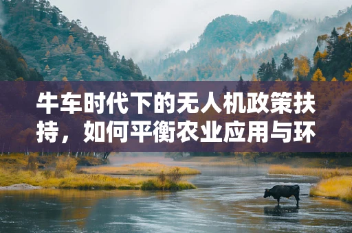 牛车时代下的无人机政策扶持，如何平衡农业应用与环境保护？