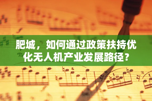 肥城，如何通过政策扶持优化无人机产业发展路径？