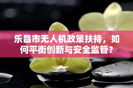 乐昌市无人机政策扶持，如何平衡创新与安全监管？
