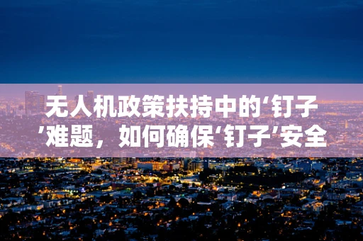 无人机政策扶持中的‘钉子’难题，如何确保‘钉子’安全使用与监管？