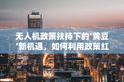 无人机政策扶持下的‘黄豆’新机遇，如何利用政策红利促进农业无人机应用？