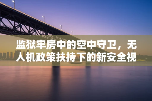 监狱牢房中的空中守卫，无人机政策扶持下的新安全视角？