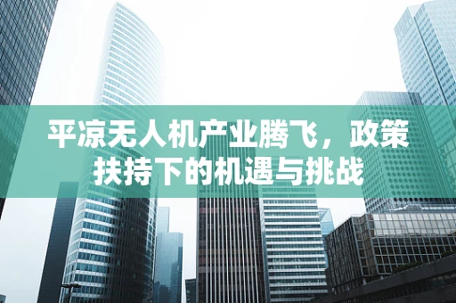 平凉无人机产业腾飞，政策扶持下的机遇与挑战