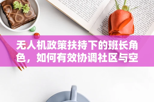 无人机政策扶持下的班长角色，如何有效协调社区与空域管理？