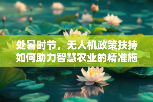 处暑时节，无人机政策扶持如何助力智慧农业的精准施策？