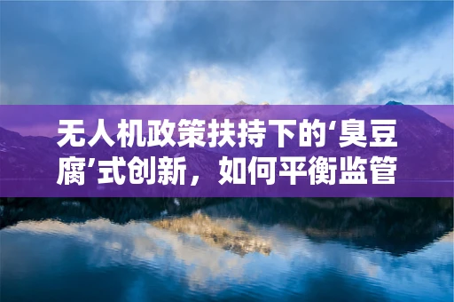无人机政策扶持下的‘臭豆腐’式创新，如何平衡监管与地方特色？