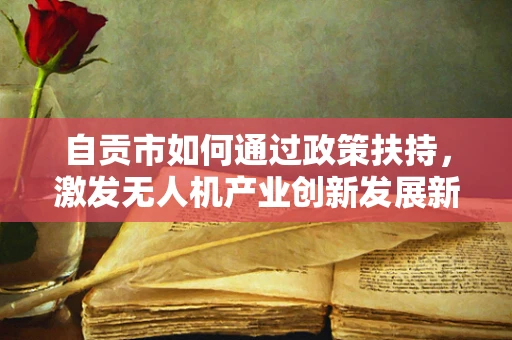 自贡市如何通过政策扶持，激发无人机产业创新发展新动力？