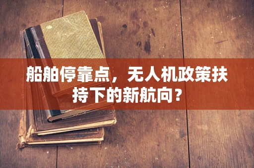 船舶停靠点，无人机政策扶持下的新航向？