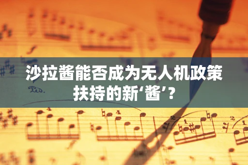 沙拉酱能否成为无人机政策扶持的新‘酱’？
