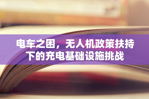 电车之困，无人机政策扶持下的充电基础设施挑战