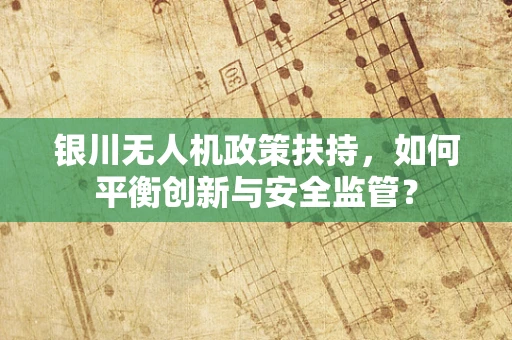 银川无人机政策扶持，如何平衡创新与安全监管？
