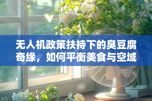 无人机政策扶持下的臭豆腐奇缘，如何平衡美食与空域安全？