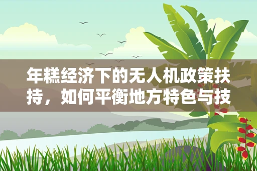 年糕经济下的无人机政策扶持，如何平衡地方特色与技术创新？