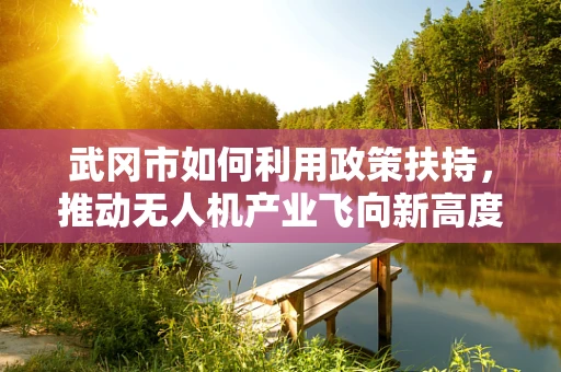 武冈市如何利用政策扶持，推动无人机产业飞向新高度？