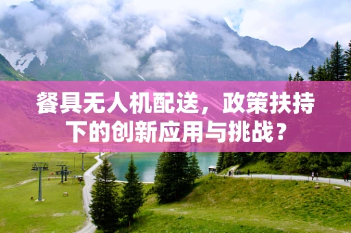 餐具无人机配送，政策扶持下的创新应用与挑战？