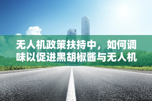 无人机政策扶持中，如何调味以促进黑胡椒酱与无人机的创新融合？