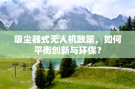 吸尘器式无人机政策，如何平衡创新与环保？