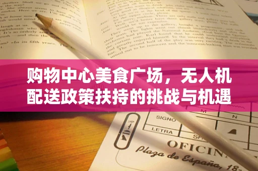 购物中心美食广场，无人机配送政策扶持的挑战与机遇？