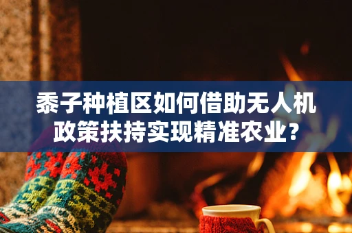 黍子种植区如何借助无人机政策扶持实现精准农业？