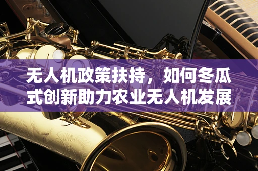 无人机政策扶持，如何冬瓜式创新助力农业无人机发展？