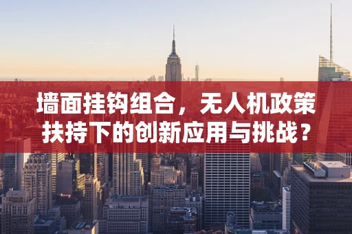 墙面挂钩组合，无人机政策扶持下的创新应用与挑战？