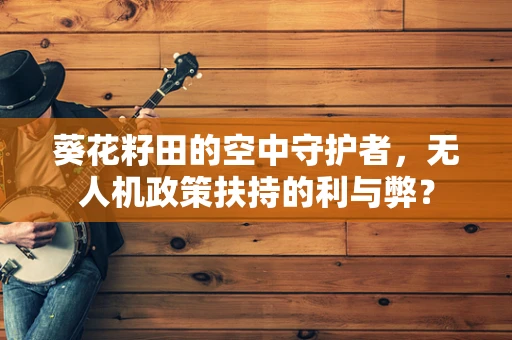 葵花籽田的空中守护者，无人机政策扶持的利与弊？