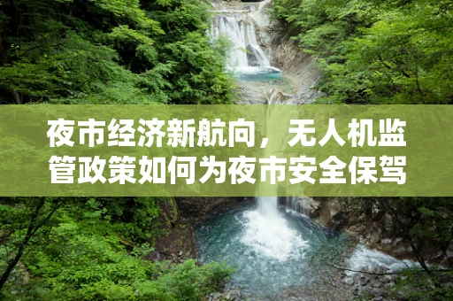 夜市经济新航向，无人机监管政策如何为夜市安全保驾护航？