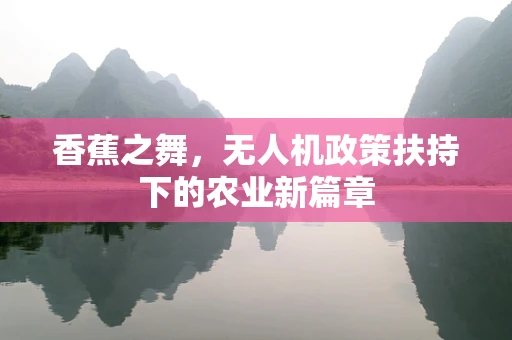 香蕉之舞，无人机政策扶持下的农业新篇章