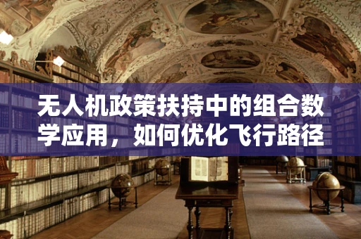无人机政策扶持中的组合数学应用，如何优化飞行路径规划？