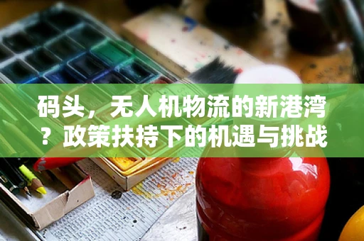 码头，无人机物流的新港湾？政策扶持下的机遇与挑战