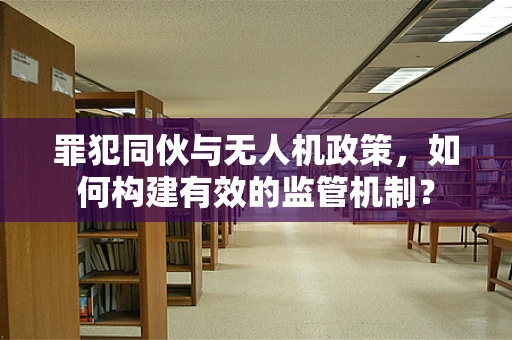 罪犯同伙与无人机政策，如何构建有效的监管机制？