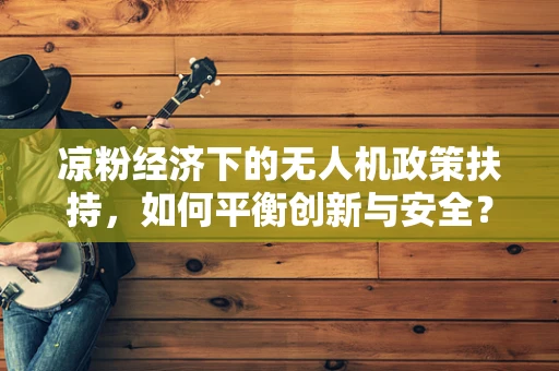 凉粉经济下的无人机政策扶持，如何平衡创新与安全？