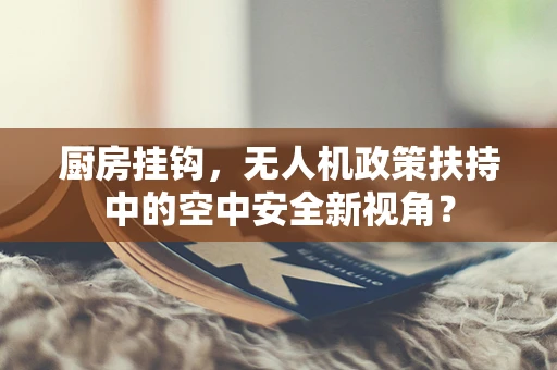 厨房挂钩，无人机政策扶持中的空中安全新视角？