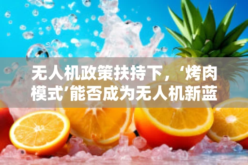 无人机政策扶持下，‘烤肉模式’能否成为无人机新蓝海？