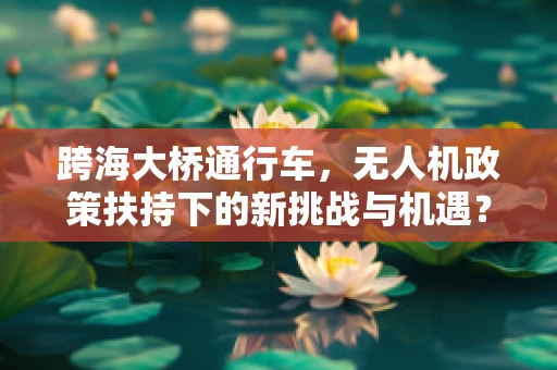跨海大桥通行车，无人机政策扶持下的新挑战与机遇？
