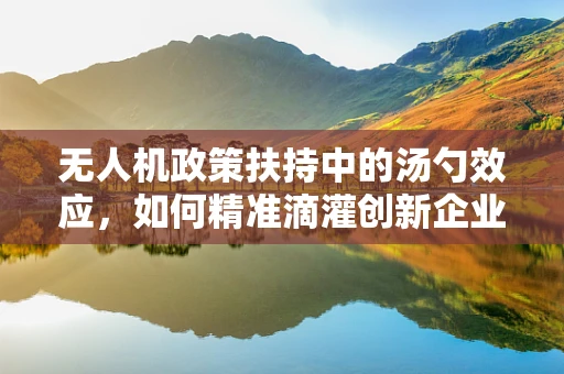 无人机政策扶持中的汤勺效应，如何精准滴灌创新企业？