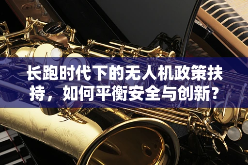 长跑时代下的无人机政策扶持，如何平衡安全与创新？