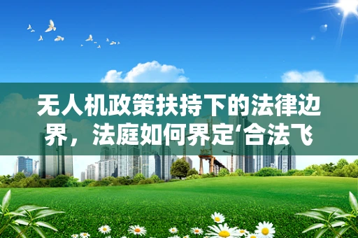 无人机政策扶持下的法律边界，法庭如何界定‘合法飞行’？