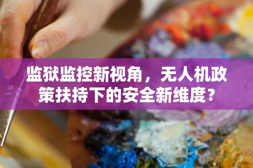 监狱监控新视角，无人机政策扶持下的安全新维度？