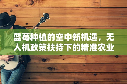 蓝莓种植的空中新机遇，无人机政策扶持下的精准农业探索