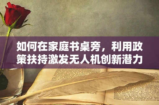 如何在家庭书桌旁，利用政策扶持激发无人机创新潜力？
