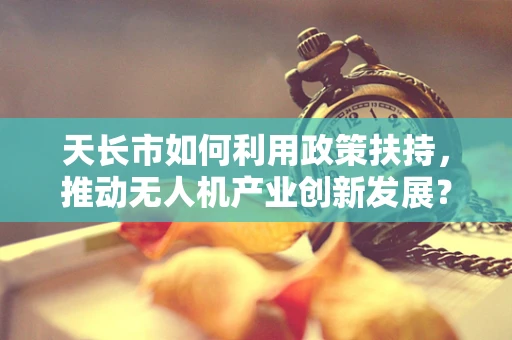 天长市如何利用政策扶持，推动无人机产业创新发展？