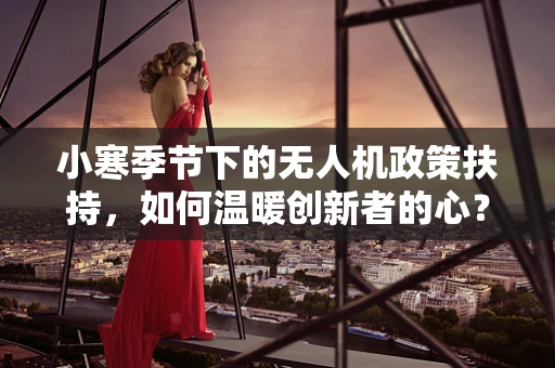 小寒季节下的无人机政策扶持，如何温暖创新者的心？
