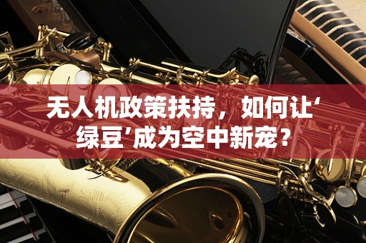 无人机政策扶持，如何让‘绿豆’成为空中新宠？
