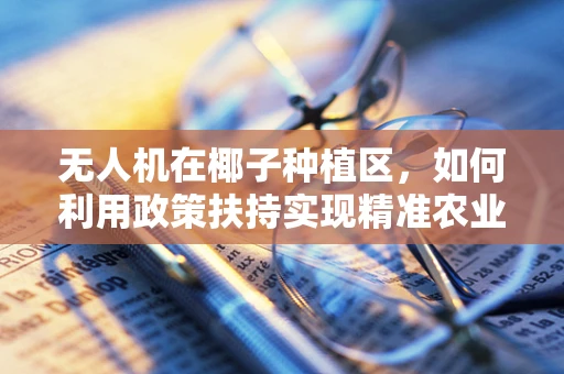 无人机在椰子种植区，如何利用政策扶持实现精准农业新飞跃？