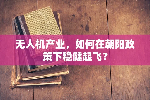 无人机产业，如何在朝阳政策下稳健起飞？