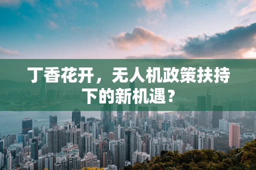 丁香花开，无人机政策扶持下的新机遇？